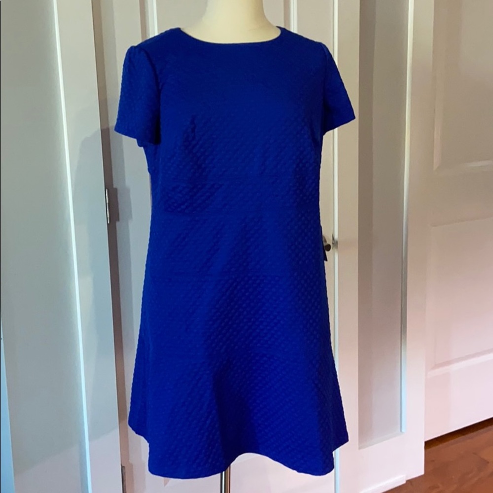 New Eliza J Fit 'n' Flare Dress Royal Blue